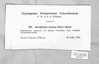 Image Associated With the Occurence